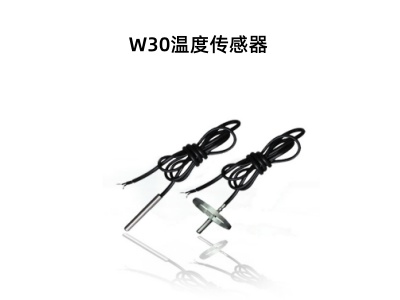 W30溫度傳感器.jpg